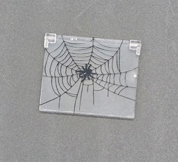 Illustration eines Spinnennetzes auf transparenter Folie Bild von Spinne Fenster mittel 1x4x3