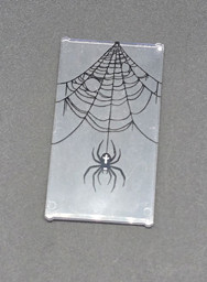 Transparente Karte mit Spinnennetz und Spinne Bild von Spinne Fenster groß 1x4x6