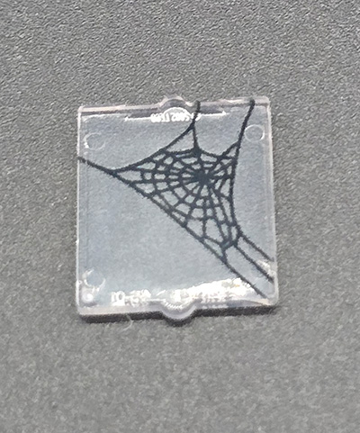 Bild von Spinneweben Fenster mittel 1x2x2