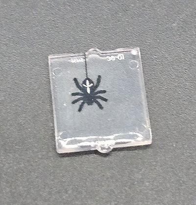 Bild von Spinne Fenster klein 1x2x2